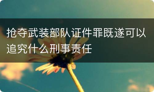 抢夺武装部队证件罪既遂可以追究什么刑事责任