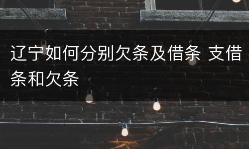 辽宁如何分别欠条及借条 支借条和欠条