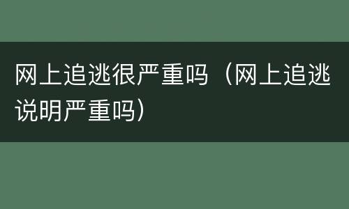 网上追逃很严重吗（网上追逃说明严重吗）
