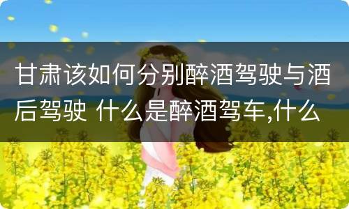 甘肃该如何分别醉酒驾驶与酒后驾驶 什么是醉酒驾车,什么是酒后驾车