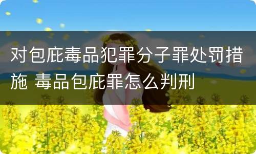 对包庇毒品犯罪分子罪处罚措施 毒品包庇罪怎么判刑
