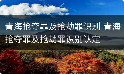 青海抢夺罪及抢劫罪识别 青海抢夺罪及抢劫罪识别认定