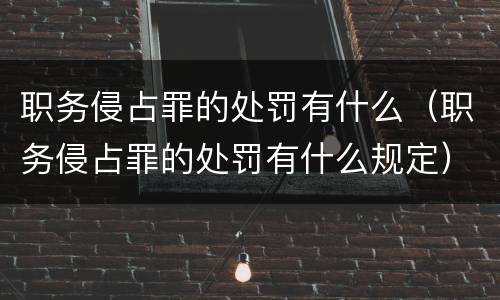 职务侵占罪的处罚有什么（职务侵占罪的处罚有什么规定）
