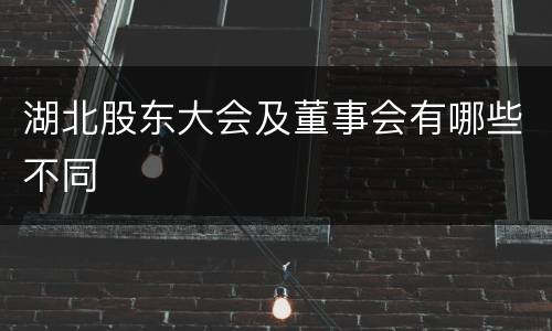 湖北股东大会及董事会有哪些不同