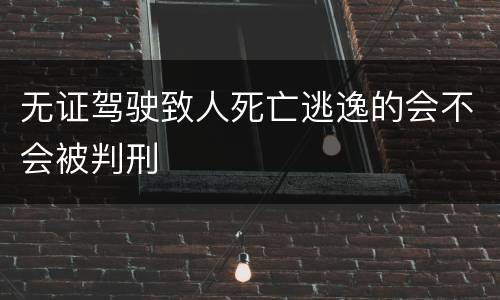 无证驾驶致人死亡逃逸的会不会被判刑
