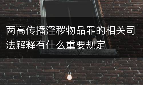 两高传播淫秽物品罪的相关司法解释有什么重要规定