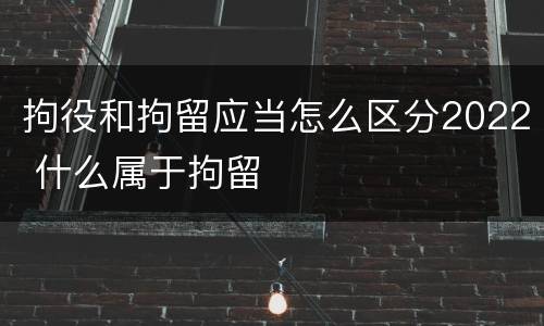 拘役和拘留应当怎么区分2022 什么属于拘留