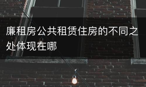 廉租房公共租赁住房的不同之处体现在哪