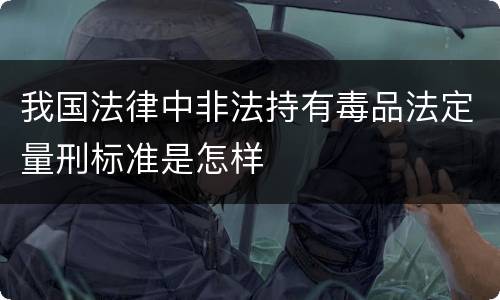 我国法律中非法持有毒品法定量刑标准是怎样