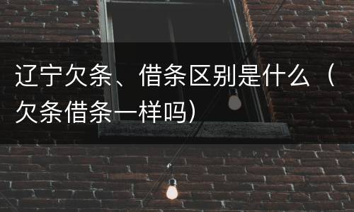 辽宁欠条、借条区别是什么（欠条借条一样吗）