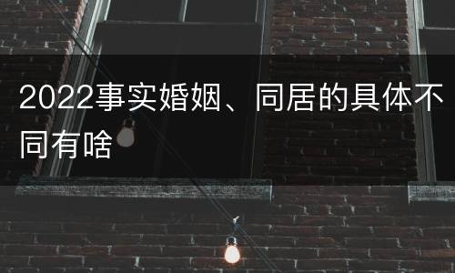 2022事实婚姻、同居的具体不同有啥