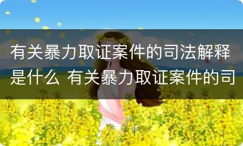 有关暴力取证案件的司法解释是什么 有关暴力取证案件的司法解释是什么意思