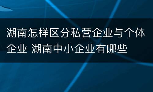 湖南怎样区分私营企业与个体企业 湖南中小企业有哪些