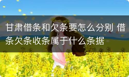 甘肃借条和欠条要怎么分别 借条欠条收条属于什么条据