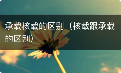 承载核载的区别（核载跟承载的区别）