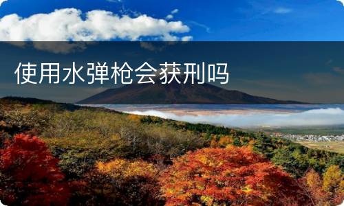 使用水弹枪会获刑吗