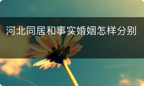 河北同居和事实婚姻怎样分别