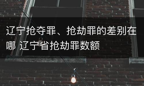 辽宁抢夺罪、抢劫罪的差别在哪 辽宁省抢劫罪数额