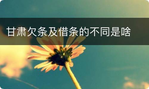 甘肃欠条及借条的不同是啥