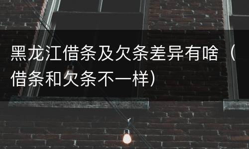 黑龙江借条及欠条差异有啥（借条和欠条不一样）
