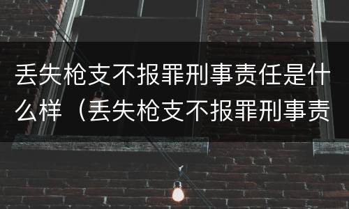 丢失枪支不报罪刑事责任是什么样（丢失枪支不报罪刑事责任是什么样子的）