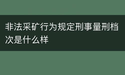 非法采矿行为规定刑事量刑档次是什么样
