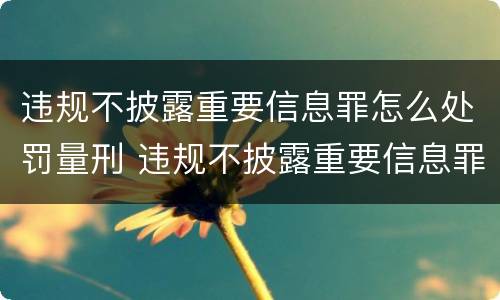 违规不披露重要信息罪怎么处罚量刑 违规不披露重要信息罪怎么处罚量刑的