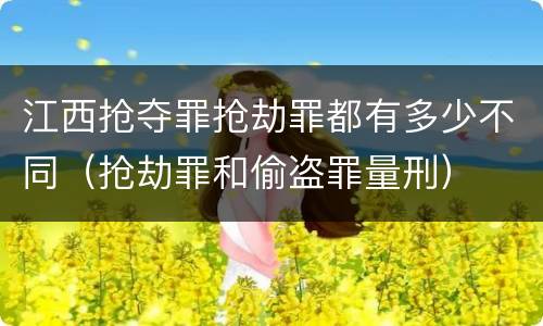 江西抢夺罪抢劫罪都有多少不同（抢劫罪和偷盗罪量刑）