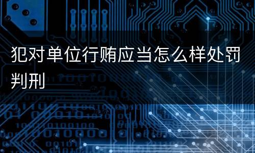 犯对单位行贿应当怎么样处罚判刑