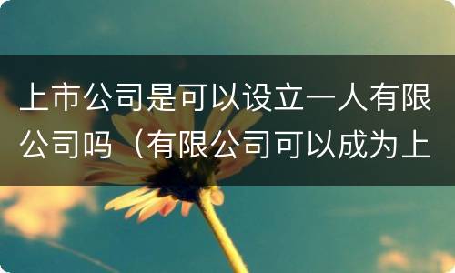 上市公司是可以设立一人有限公司吗（有限公司可以成为上市公司吗）