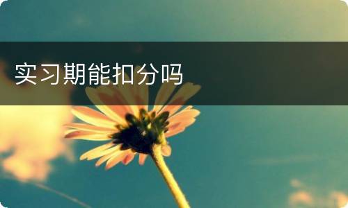 实习期能扣分吗