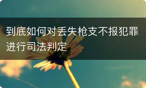 到底如何对丢失枪支不报犯罪进行司法判定