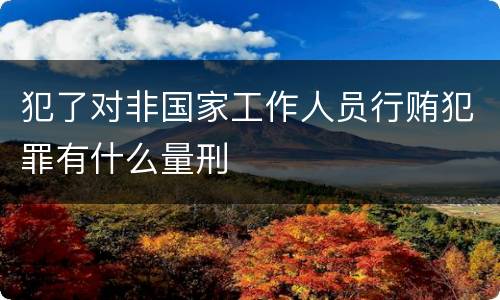 犯了对非国家工作人员行贿犯罪有什么量刑