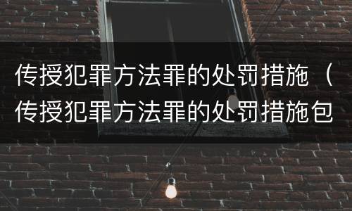 传授犯罪方法罪的处罚措施（传授犯罪方法罪的处罚措施包括）