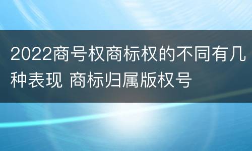 2022商号权商标权的不同有几种表现 商标归属版权号