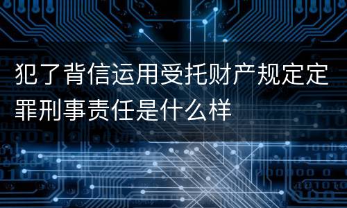 犯了背信运用受托财产规定定罪刑事责任是什么样