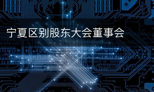 宁夏区别股东大会董事会