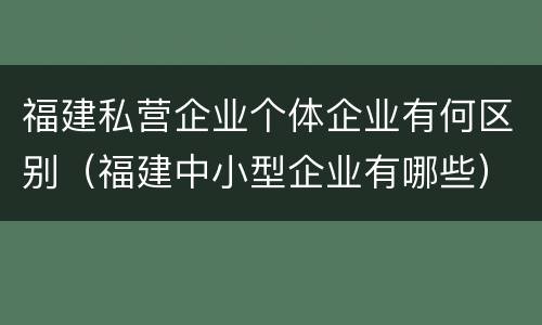 福建私营企业个体企业有何区别（福建中小型企业有哪些）