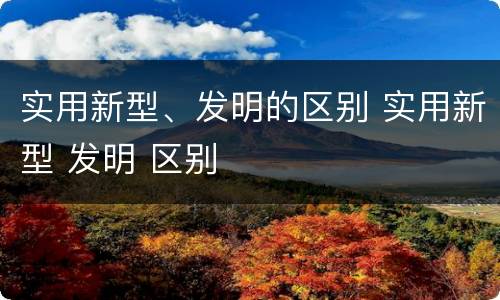 实用新型、发明的区别 实用新型 发明 区别