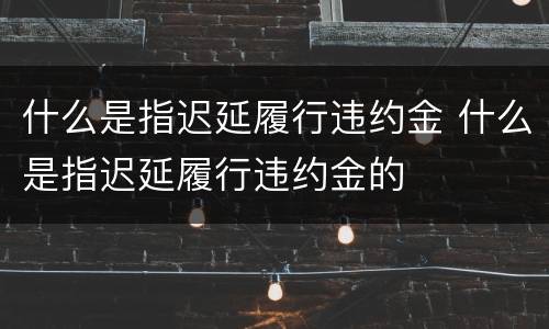 什么是指迟延履行违约金 什么是指迟延履行违约金的