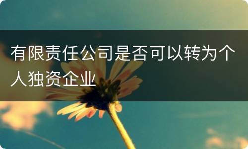 有限责任公司是否可以转为个人独资企业