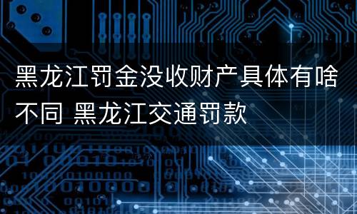 黑龙江罚金没收财产具体有啥不同 黑龙江交通罚款