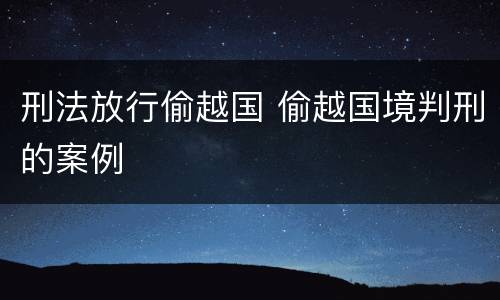 刑法放行偷越国 偷越国境判刑的案例
