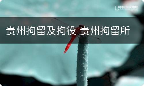贵州拘留及拘役 贵州拘留所