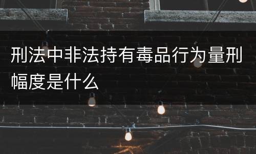 刑法中非法持有毒品行为量刑幅度是什么