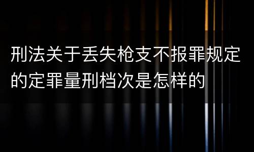 刑法关于丢失枪支不报罪规定的定罪量刑档次是怎样的