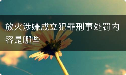 放火涉嫌成立犯罪刑事处罚内容是哪些