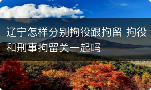 辽宁怎样分别拘役跟拘留 拘役和刑事拘留关一起吗