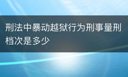 刑法中暴动越狱行为刑事量刑档次是多少