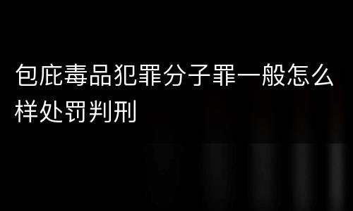 包庇毒品犯罪分子罪一般怎么样处罚判刑